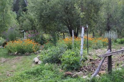 Jardin de fleurs   © J.Lambert