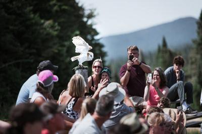 Falcon Environmental (Tremblant)