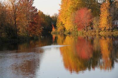 Automne vue arrière   © S.Purusha
