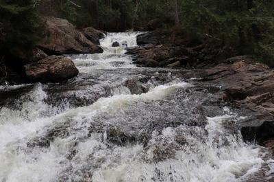 Cascade Brown   © H.Doucet