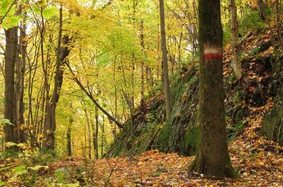 Sentier des antennes en automne
