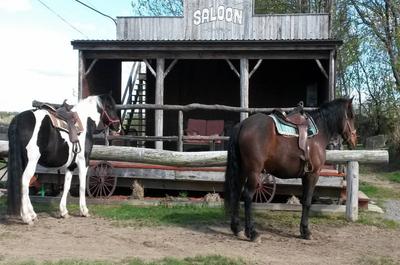 Saloon   © Centre d'équitation Nouvelle-France