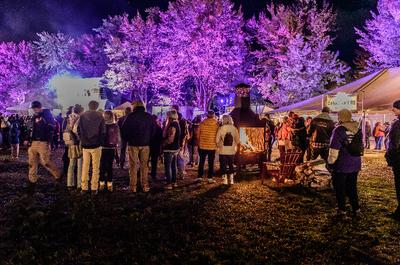 Festival Trad-Cajun