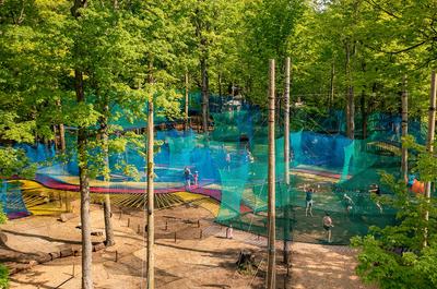 Le parc   © Arbraska