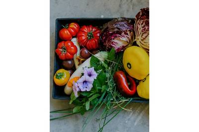 Légumes frais du potager   © Projet La Ruche