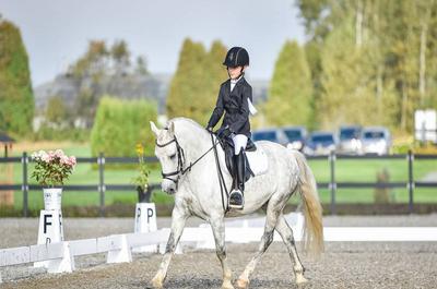 Caballista – Quebec Horse show Championship