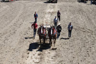 Tire de Chevaux   © S.Debilly