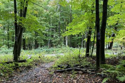 Randonnée pédestre   © Missisquoi Nord - Parcours de la vallée