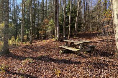 Aire de pique-nique   © Missisquoi Nord - Parcours de la vallée