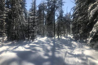 Réseau de ski de fond   © D.Charbonneau