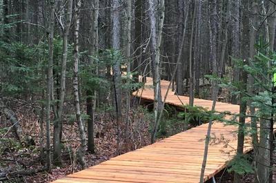 Parc régional des Grèves