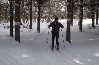 Activités hivernales - Ski de fond et plus   © P.Grondin
