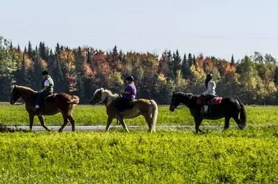 Randonnée équestre   © Ferme équestre Dorelies