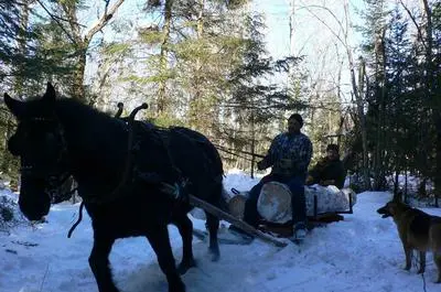 Forfait « Le Forestier »   © Ferme équestre Dorelies