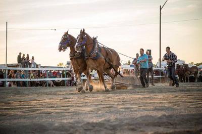 Festival équestre et Rodéo professionnel de La Sarre