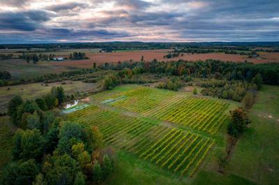 Domaine de Pontiac Village