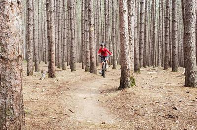 Vélo montagne