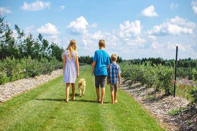 Ferme familiale