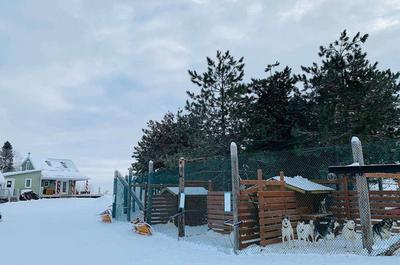 Le chalet du chenil   © La Reine et le Millionnaire
