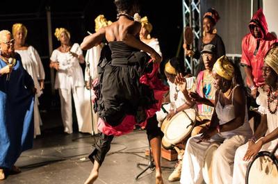 La Guadeloupe au MondoKarnaval   © M.Leclerc