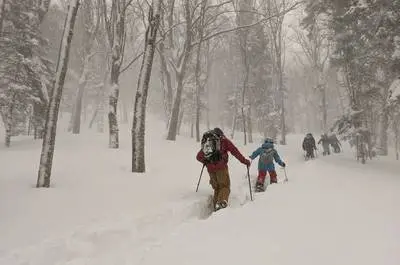 Famille dans la poudreuse   © Cap Castor Ski hors piste