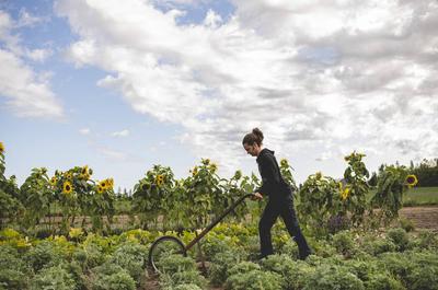 Jardin aromates   © J.Houde-Audet