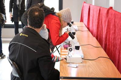 Zone laboratoire