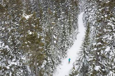 Sentier de ski de fond   © Daniel T photo