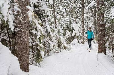 Ski de dond   © Daniel T photo
