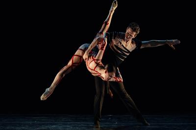 Côte Danse - Crypto   © S.Onyshchenko