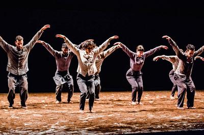 Vertigo Dance Company   © R.Abro