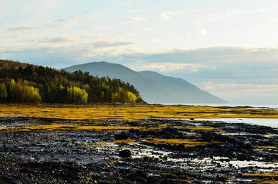 En bordure du Saint-Laurent   © Louis Hébert