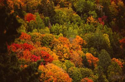 Paysage couleurs d'automne   © E.Dionne