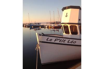 Marina 1   © R.Boudreau