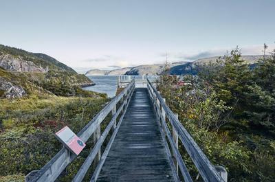Passerelle d'observation   © TQ/D.Lafond