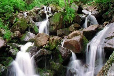 Paysage québécois