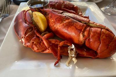 Homard   © Gaspésiana