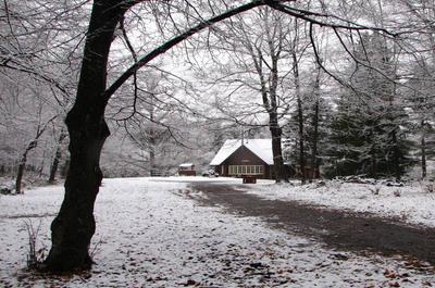 Chalet Pruche