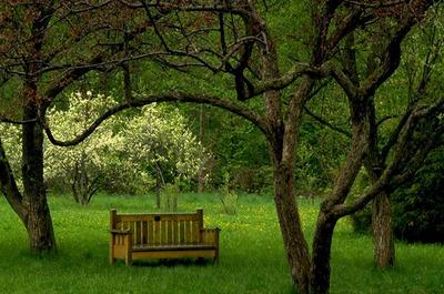 Le coin fleuri au printemps