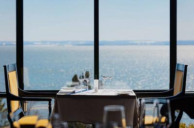 Vue   © Citizen North