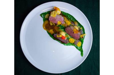 Agneau choux cavalier et gnudi