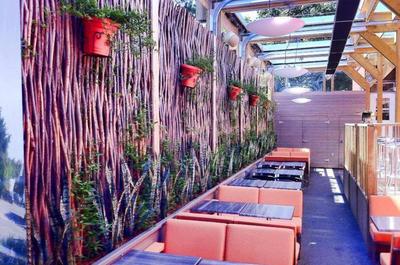 Cactus bar à bières