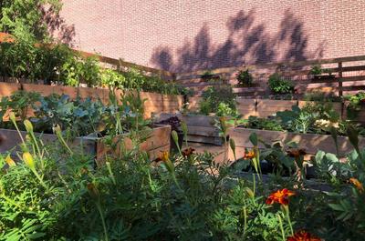 Jardin sur le toit du restaurant