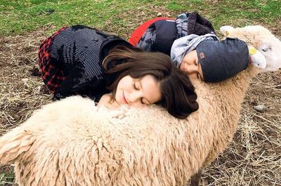 Enfants dans le pré   © Ferme du Dolmen