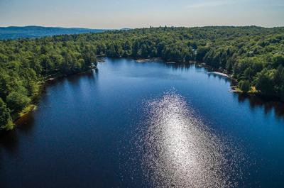 Le Lac des Pins
