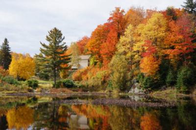 Automne
