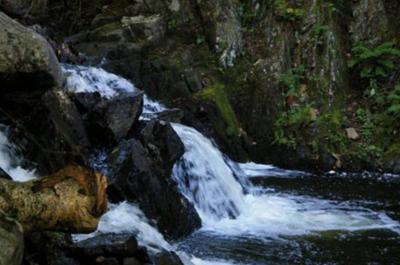 Cascade