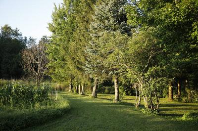 Jardins