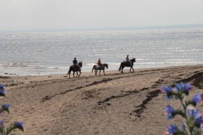 Plage