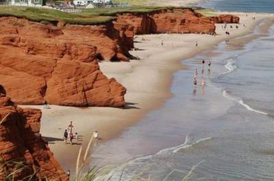 Falaise